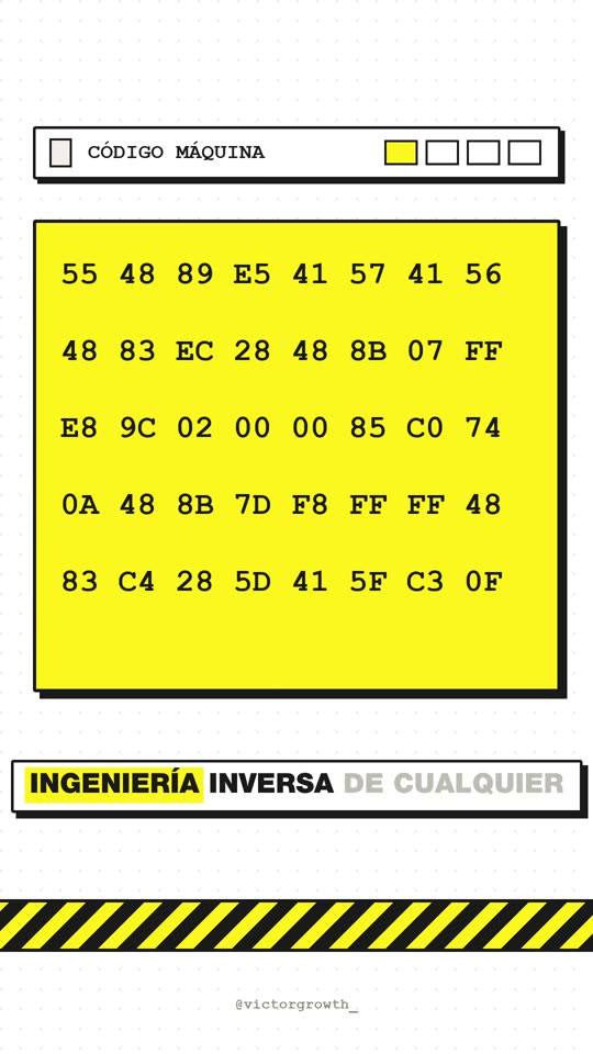 Código máquina convertido en funciones